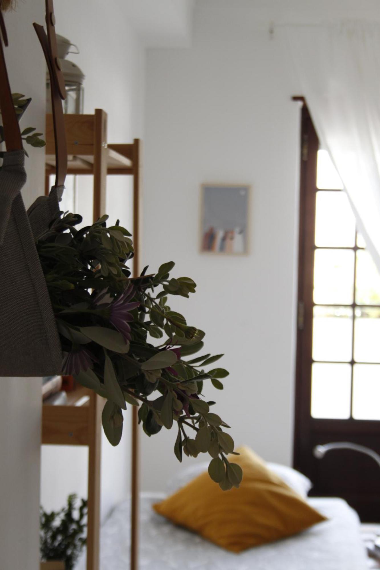 Boa Onda Guesthouse Atouguia Da Baleia Room photo